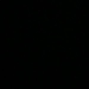 Meet your Posher, Dawson